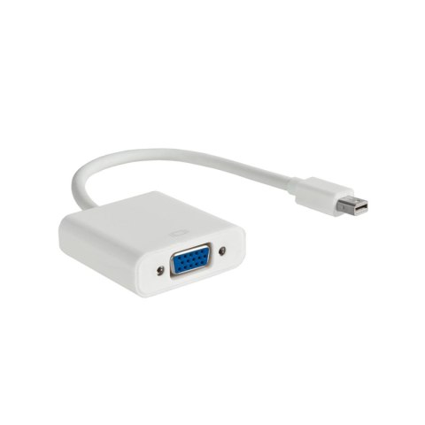 Kabel adapter Akyga AK-AD-39 VGA F - mini DisplayPort M 0,15m biały