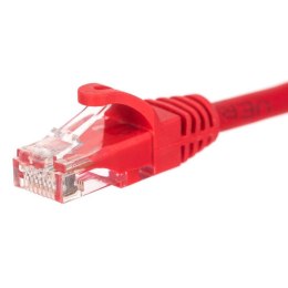 Patchcord RJ45, Netrack osłonka zalewana, kat. 5e UTP, 0,25m czerwony